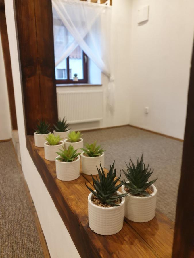 Apartament U Mikesu Vyšší Brod Zewnętrze zdjęcie